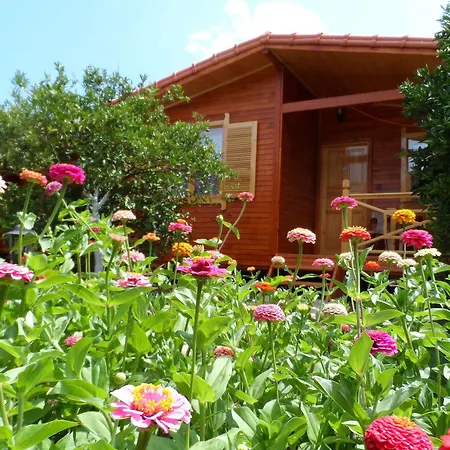 Hotel Ugur Cirali