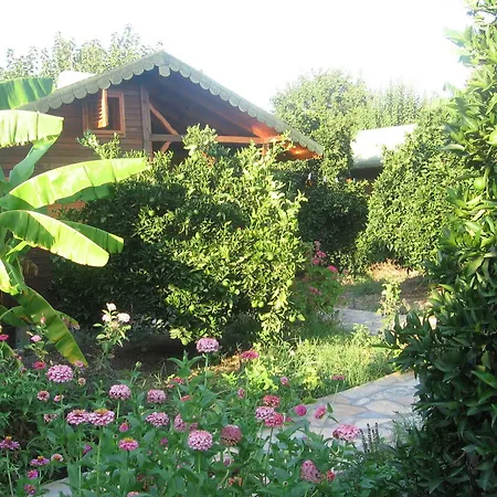 Hotel Ugur Cirali
