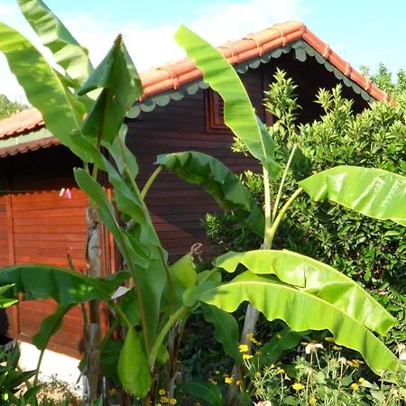 Hotel Ugur Cirali
